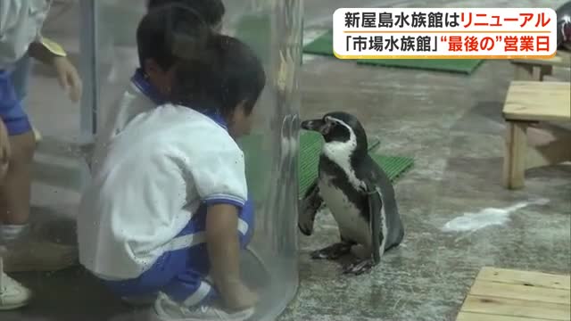 高松市中央卸売市場の「市場水族館」が閉館　ペンギンたちが戻る水族館にはあの水槽の復活計画が…【香川】