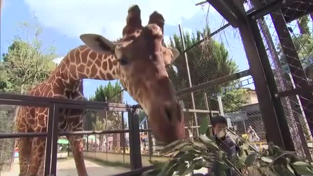 ３連休の中日　動物園の人気イベントに家族連れ　笑顔で餌やり体験【岡山・岡山市】