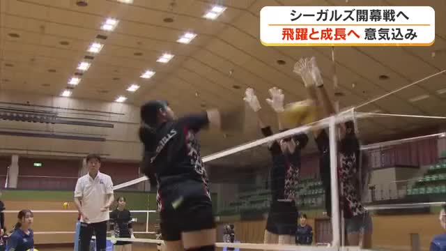 「だから、面白い。」を掲げるバレーＳＶリーグ・岡山シーガルズ　開幕を前にバックアタックを強化【岡山】