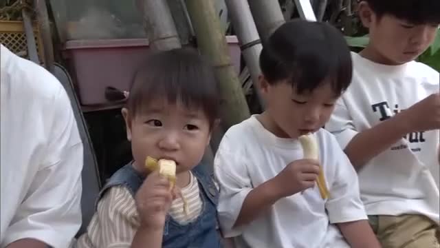 小豆島で露地栽培「オリーブバナナ」の試食会　子供たちは「香りともっちり食感」に満足【香川・土庄町】