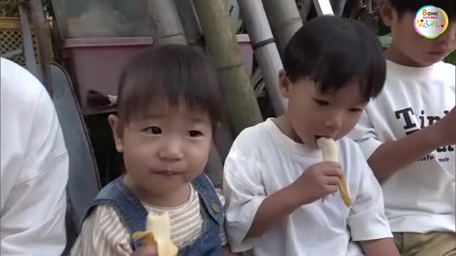 小豆島で露地栽培「オリーブバナナ」の試食会　子供たちは「香りともっちり食感」に満足【香川・土庄町】
