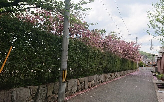 萩原０４２７２