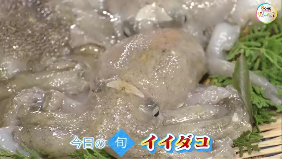 旬紀行2502　13