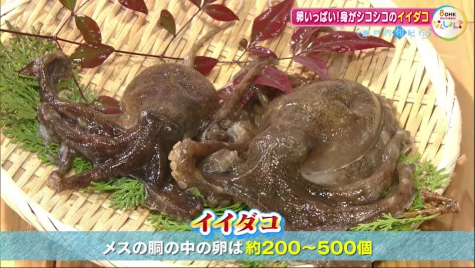 旬紀行2502　14