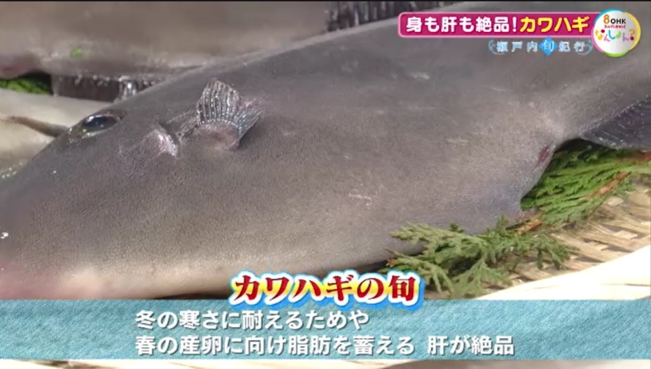 旬紀行2502　05