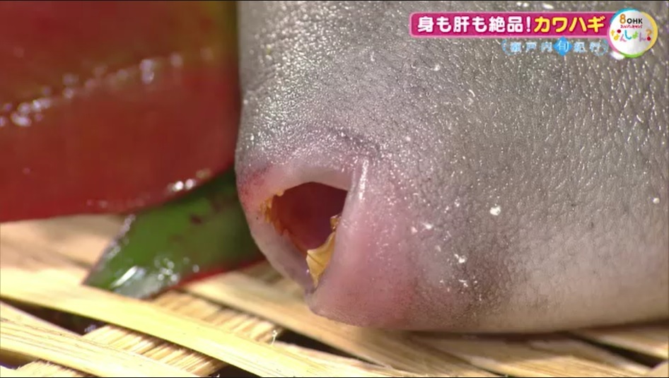 旬紀行2502　04