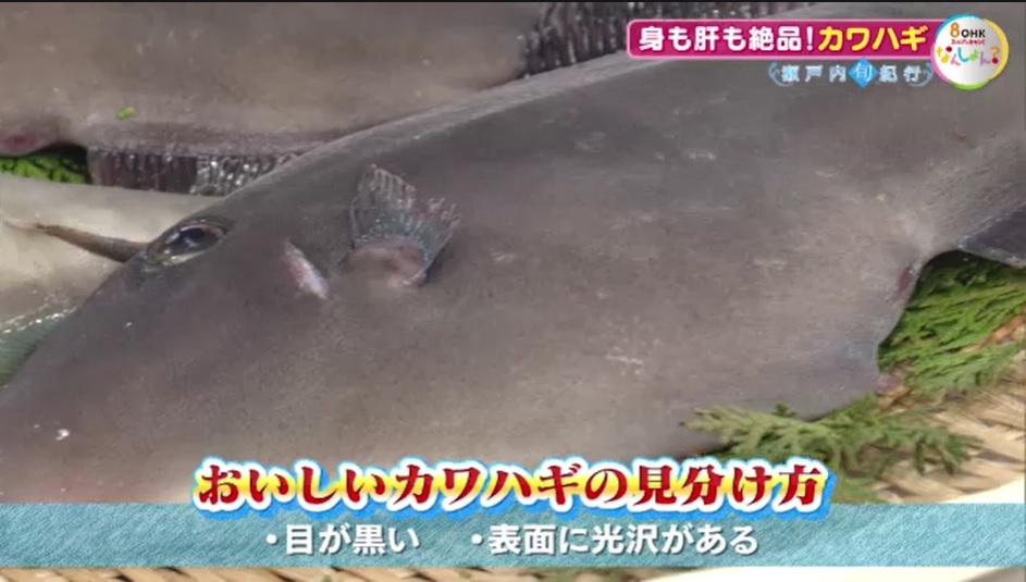 旬紀行2502　12