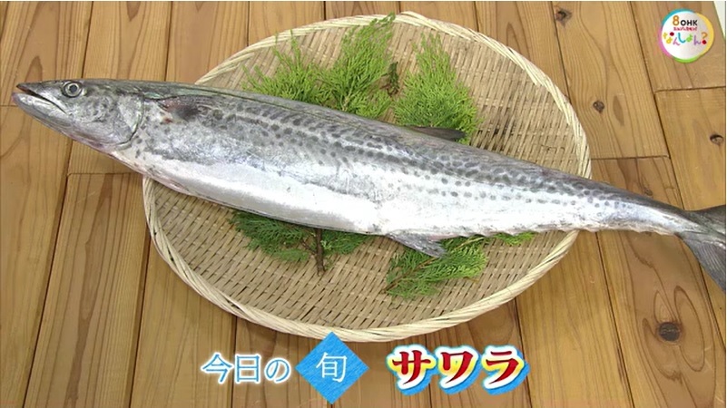 旬紀行　サワラ02