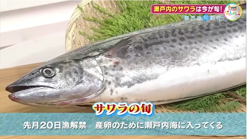 旬紀行　サワラ03