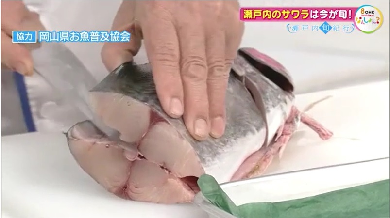 旬紀行　サワラ04-1