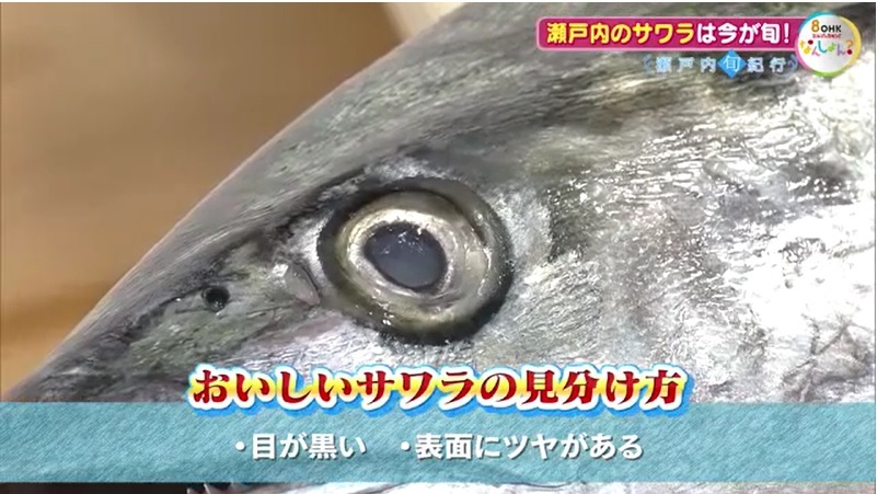 旬紀行　サワラ16