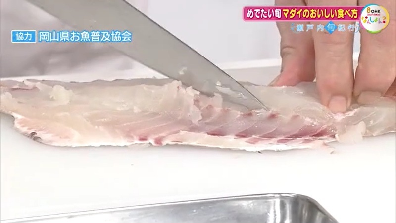 マダイ09-4