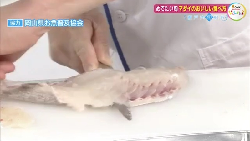 マダイ09-5