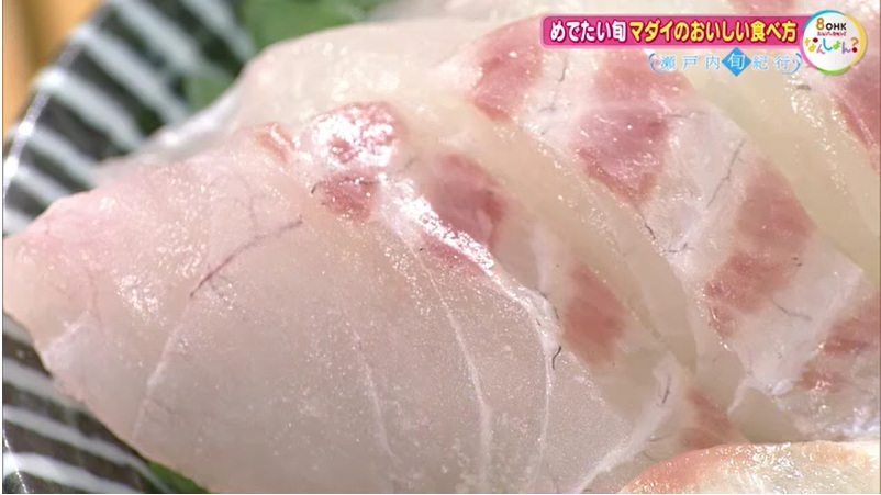 マダイ12