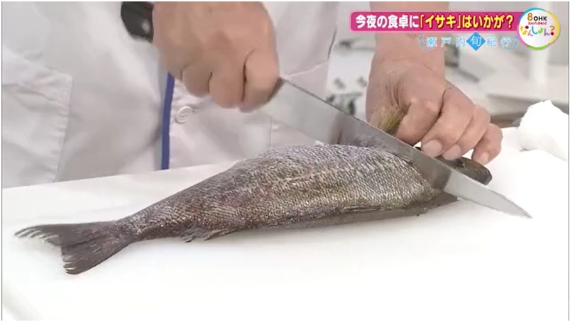 旬紀行　イサキ06-1　さばき　頭