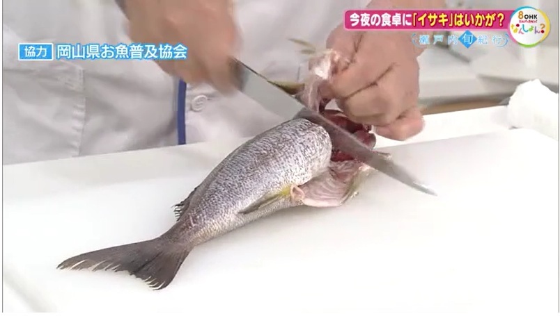 旬紀行　イサキ06-2　さばき　頭