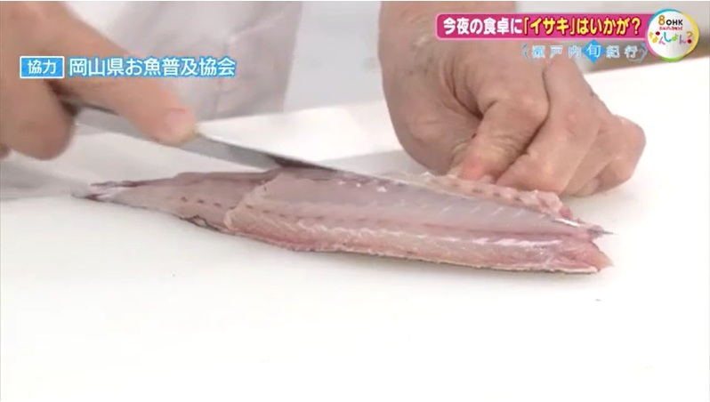 旬紀行　イサキ06-5