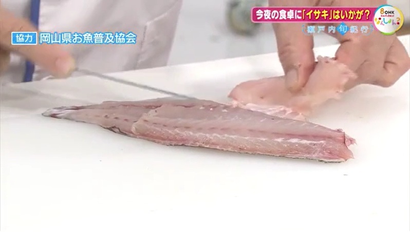 旬紀行　イサキ06-6