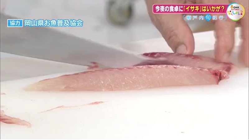 旬紀行　イサキ06-10