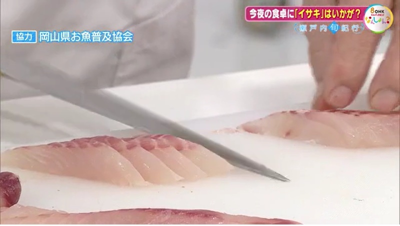 旬紀行　イサキ06-11