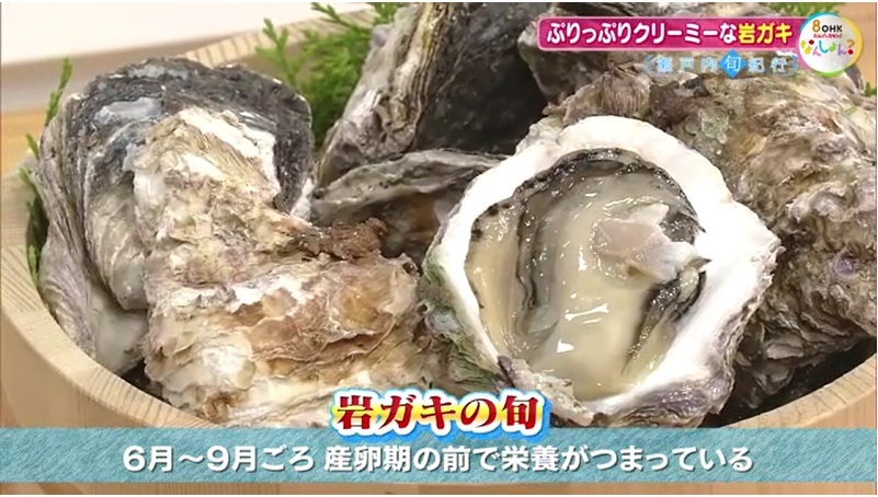 旬紀行　岩ガキ06　旬　