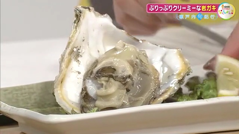 旬紀行　岩ガキ11