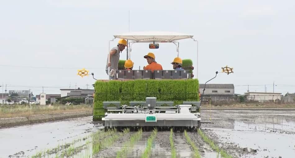 最新の田植え機で米づくり【興陽高校 農業科】
