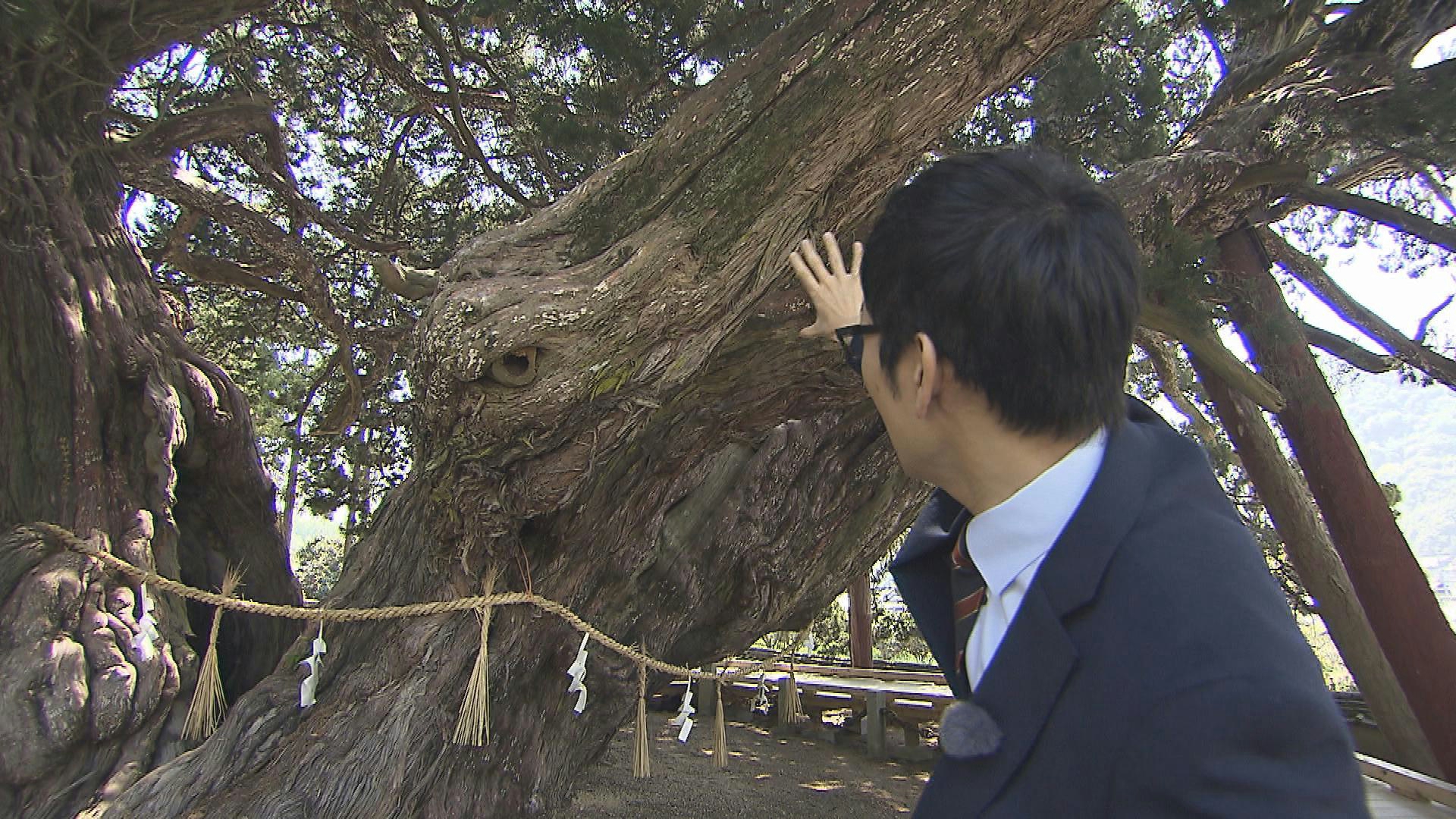 宝生院